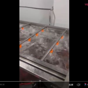 清洗風(fēng)干流水線